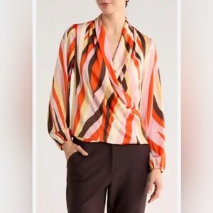 Shari Blouse Beautiful and Gorgeous